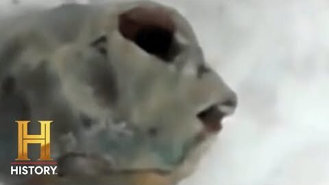 ABNORMAL CREATURE CAUGHT ON CAMERA – “This is NOT a Human” | The Proof Is Out There | #Shorts