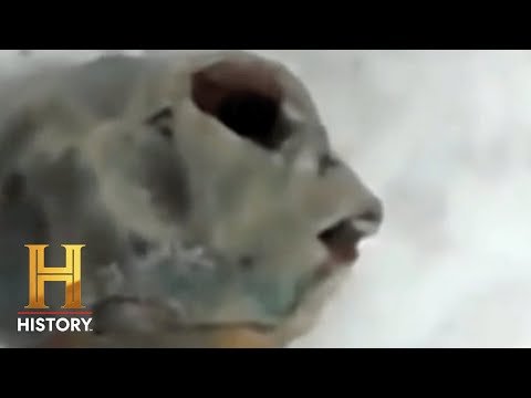 ABNORMAL CREATURE CAUGHT ON CAMERA – “This is NOT a Human” | The Proof Is Out There | #Shorts