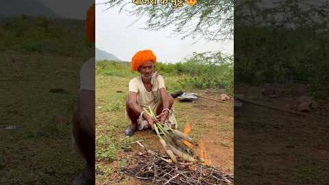 बाजरे के भट्ठे 😍 #desi #culture #villagelife #rajasthan #shorts