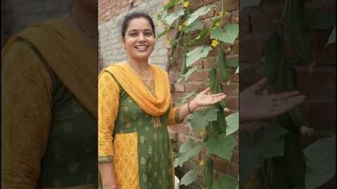 भाभी ने देसी जुगाड़ से खिरा उगाया🤔#viralvideo #desi #jugaad #short