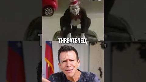 The Cat in the Hat Stalking Trend Is Out of Control