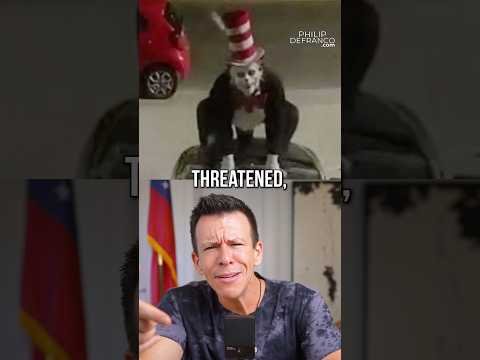The Cat in the Hat Stalking Trend Is Out of Control