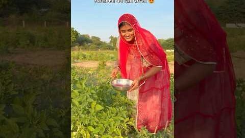 ग़्वारफ़ली की देसी सब्जी😍 #desi #subji #villagelife #food #recipe #youtubeshorts #rajasthan #shorts