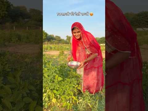 ग़्वारफ़ली की देसी सब्जी😍 #desi #subji #villagelife #food #recipe #youtubeshorts #rajasthan #shorts