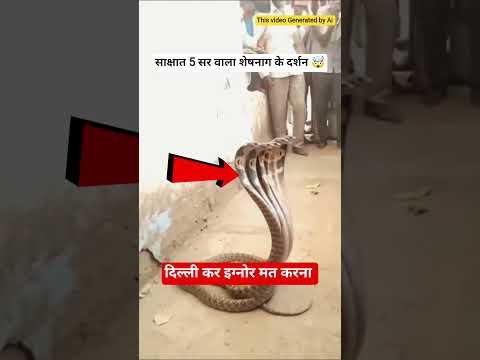 5 सर वाला शेषनाग के साक्षात दर्शन 🤯 #snake #vishnu #viral #shorts #viral