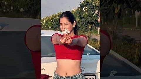 Expert Jatt / Nawab / Latest Punjabi Songs 2026 / New Punjabi Song 2026 / #newpunjabisong