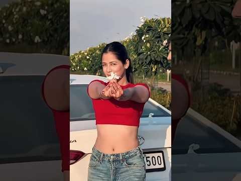 Expert Jatt / Nawab / Latest Punjabi Songs 2026 / New Punjabi Song 2026 / #newpunjabisong