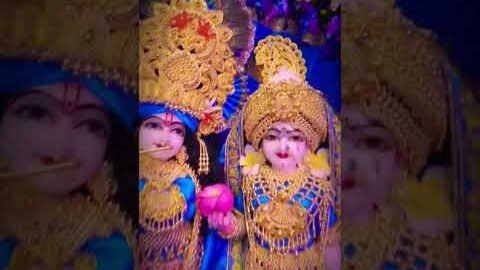 Premanand Maharaj Radha Ashtami 🚩 Radha ashtami 🙏Nam jap 🙏#premanandjimaharaj #premanandji #shorts