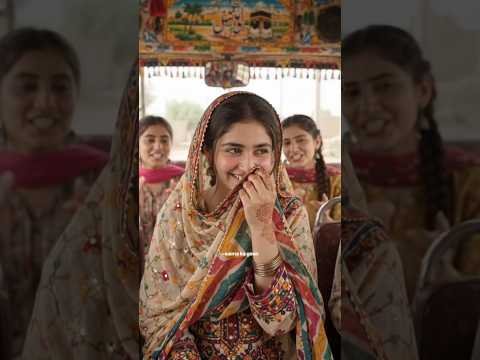 Gadi ruk ustad #shorts #youtubeshorts #viral #trending #viralshorts #fyp #desi #bus #1million