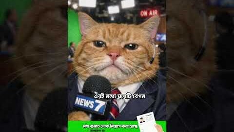 আজ দুপুরের খাবার #relatable #funny #cat #bangla #desi #voiceover #memes #bodna_tv