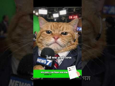আজ দুপুরের খাবার #relatable #funny #cat #bangla #desi #voiceover #memes #bodna_tv