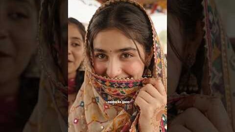 Gadi ruk ustad #shorts #youtubeshorts #viral #trending #viralshorts #fyp #desi #bus #1million