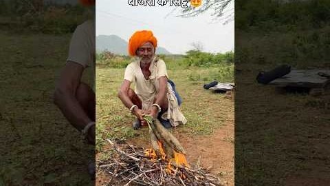 बाजरी के देसी भुट्टे 😍 #village #lifestyle #desi #culture