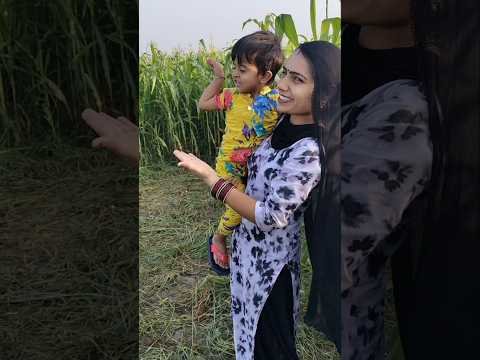 ❤️🫅 #shorts #desi #village #viral #trending #love