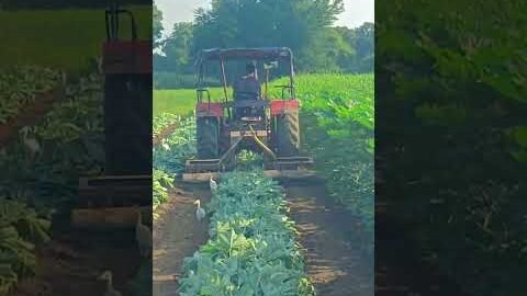 Amazing Desi Jugaad by Farming #Desi #Jugaad #Jugad #Farming#Kheti #Khetibadi #Agriculture #Tractor