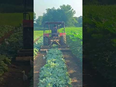 Amazing Desi Jugaad by Farming #Desi #Jugaad #Jugad #Farming#Kheti #Khetibadi #Agriculture #Tractor