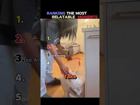 the last one is real  #shorts   #viral #funny #comedy #fyp #america  #ranking #funnymoment #world