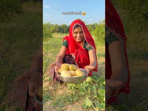 काछारे की चटनी 😍 #desi #khana #food #rajasthan #youtubeshorts #shorts #recipe #foodie #rajasthani