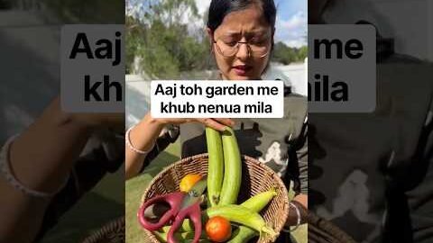 Aaj garden se khub nenua mila#viralvideo #youtubeshorts #trending #garden #harvest #desi #usa #yt