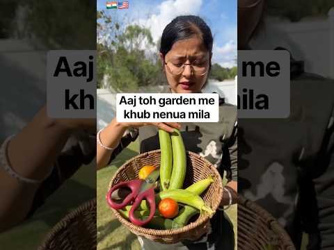 Aaj garden se khub nenua mila#viralvideo #youtubeshorts #trending #garden #harvest #desi #usa #yt