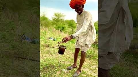 जंगल में शाम की चाय 🫖 #tea #villagelife #culture #desi #youtubeshorts #shorts #rajasthan