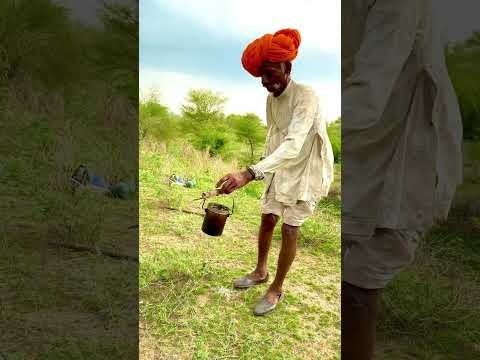 जंगल में शाम की चाय 🫖 #tea #villagelife #culture #desi #youtubeshorts #shorts #rajasthan