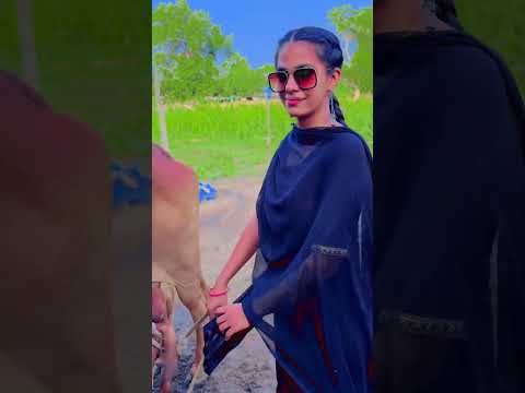 कान्हा की माँ 🥰 #youtbeshorts #desi #trending #haryanvi #yt #cow #maa #punjabi