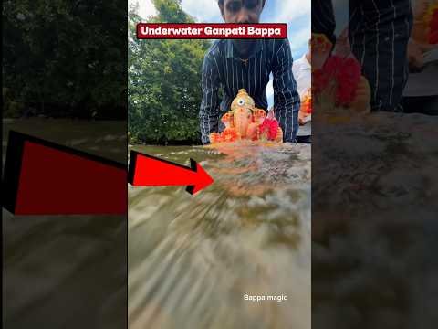 सबसे सुंदर गणपती विसर्जन 😱😍🙏 | ganpati bappa visarjan #ganpati #youtubeshorts #ganpativisarjan