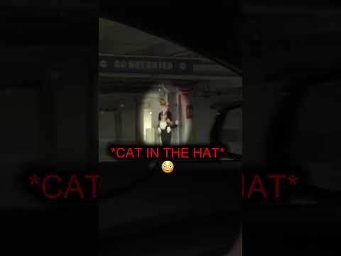 They Got Chased By Cat in the Hat…😨