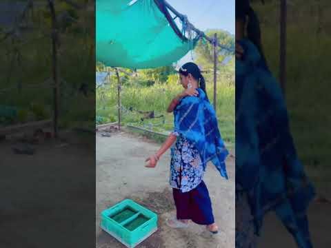 कान्हा की माँ 🥰 #youtubeshorts #shorts #desi #trending #old #yt #cow