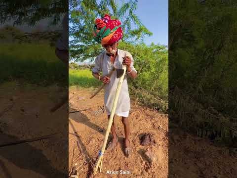 देसी मधानी 🥰 #villagelife #rajasthan #desi #gaon #shorts #viralvideo #viralshorts