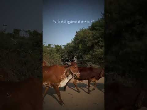 Kanudo daan mange 🙏🦚#gamdu #vilagelife #goval #bharvad #krishna #kanudo #desi #vibes #kathiyawadi