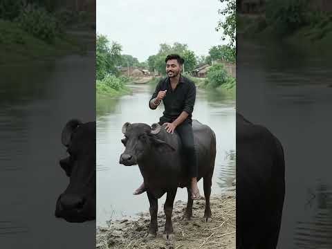 #desi #trending