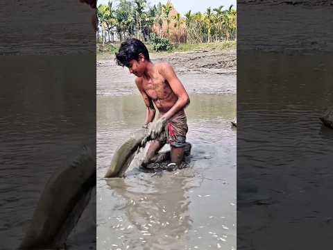 desi fish catching video #shorts @AdiFishman @RAWWFishing @Banglaamar195