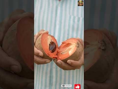 spglife ||farming #desi fruits #trending #shorts