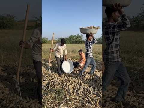 बाज़ार निकलते हुए किसान  🌾🚜 #marwadilife #rajasthaniclture #desi #villagelife #shorts