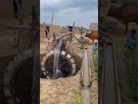 #trendingshorts #desijugadmachine #farming #kisanbhai #agriculture #trending #desijugaad #desi