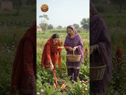 Traditional Desi Cooking: Harvesting Fresh Carrots and Making Royal Gajar Halwa