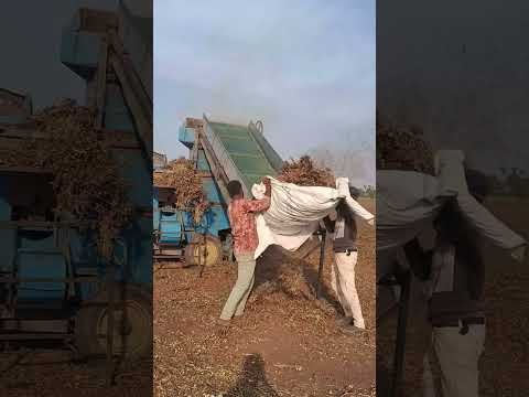 Amazing Desi Jugaad by Farming #Desi#Jugaad #Jugad #Farming#Kheti#Khetibadi #Agriculture#harvesting