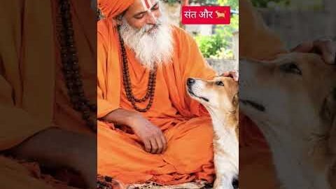 संत को दिया 🐕 ने जवाब #desi vlog502