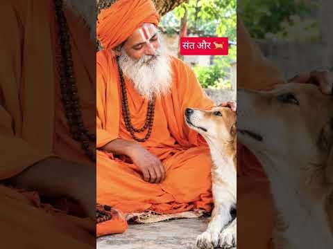 संत को दिया 🐕 ने जवाब #desi vlog502