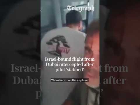 Pilot ‘stabbed’ in suspected hijacking of Israel-bound passenger flight