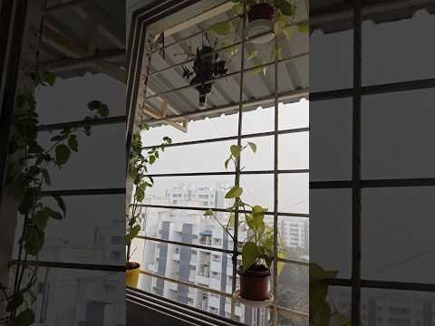 seafret-Atlantis (speed of version) #reels #shorts #viral #viralvideo #status #viwes #aesthetic