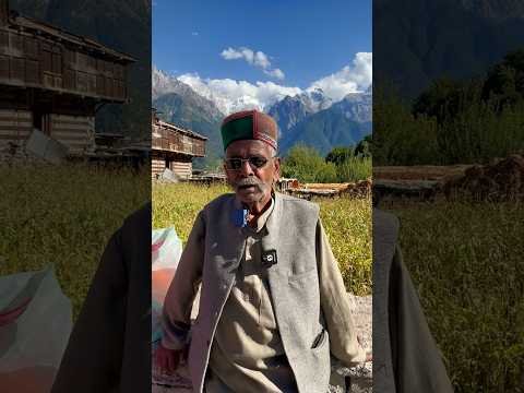 किन्नौर की देसी दारू क्यों इतनी मशहूर है दुनिया में #trending #wishky #desi #daru #kinnaur #shorts