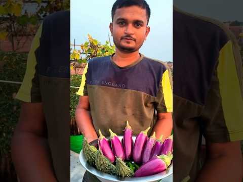 ग्रो बैग का सब्जी 😊 #viral #trending #shorts #explore #desi #agriculture #harvest #vegetables #fine