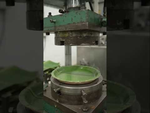Massive Banana Leaf Processing Unit! 🍃 #Shorts #desi jugaad #farming #youtube shorts