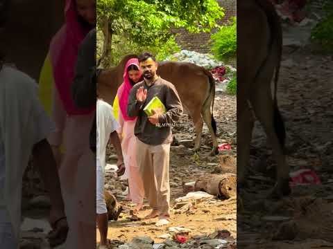 Virat Kohli Anushka Sharma in Vrindavan: Premanand Maharaj से आशीर्वाद लेने पहुंचे Virushka #Shorts