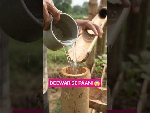 Bans + Mitti Se Bana Di Deewar Wali Irrigation! 😱🌿 | Desi Jugaad