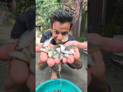 Desi Jugaad se Pakdi Baby Fish🐟😱 #minivlog #desiviilagelifetstyle #shortsfeed