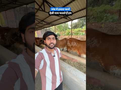 Our Farm in Village and we have Desi Cows in our farm like Gir and Sahiwal